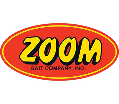 Zoom Logo